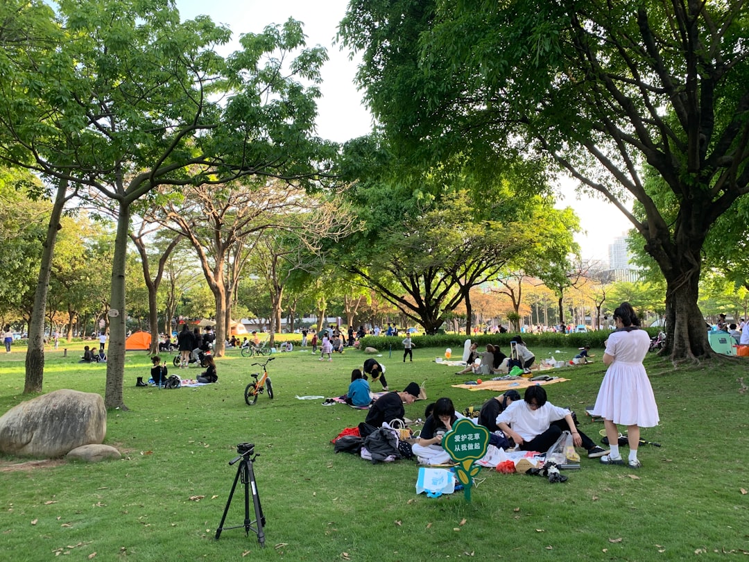 Photo Picnic in park